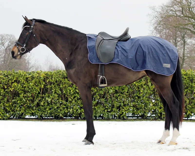 QHP Exercise Sheet with Fleece in Navy